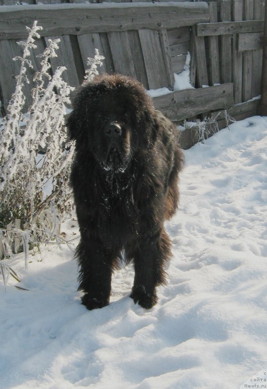 Фотография № 216167