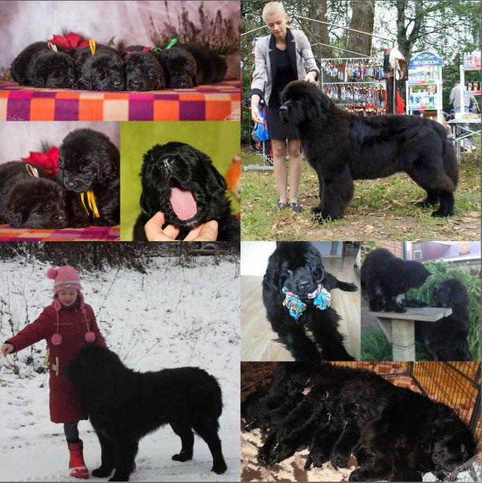 Фотография № 216228