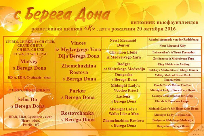 Фотография № 216243