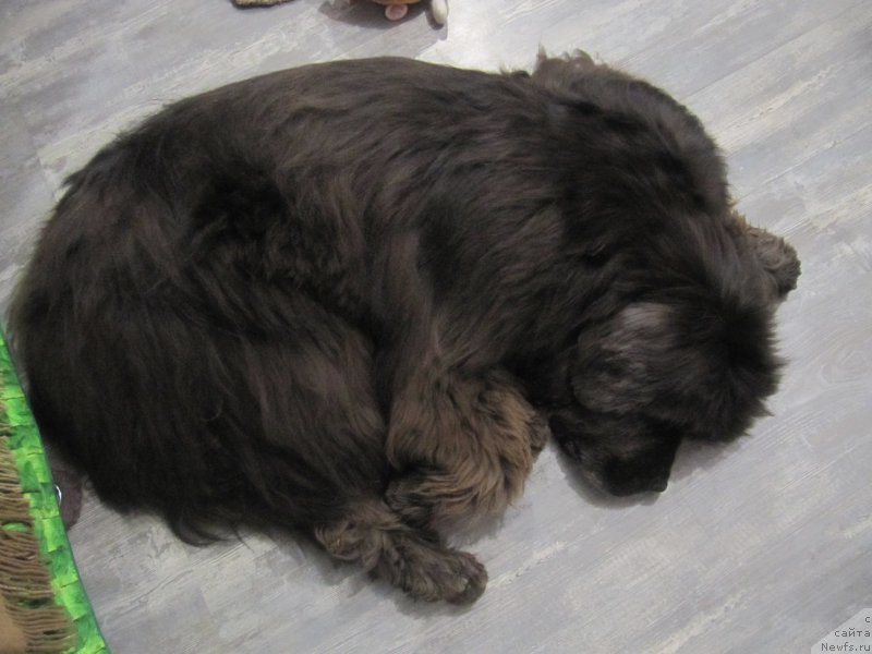 Фотография № 216286