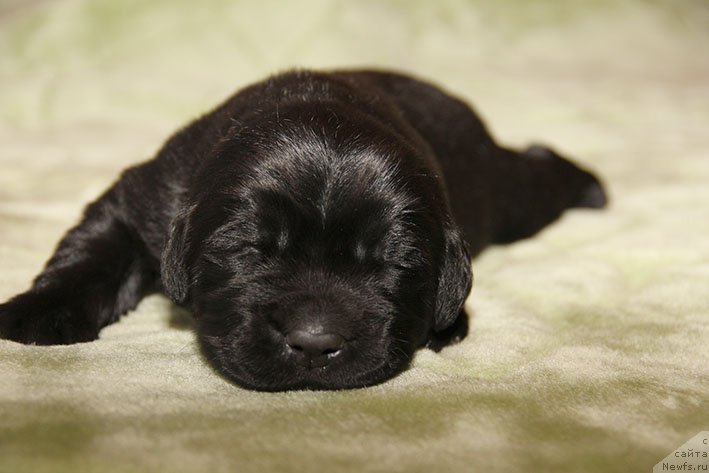 Фотография № 216314