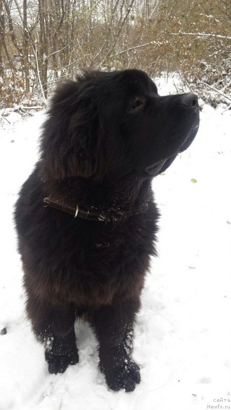 Фото: [p3723] Блюз