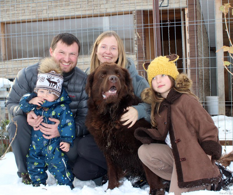 Фото: Александр Черванёв, ньюфаундленд Чара Хани Лес (Chara Hani Les), Мария Черванева