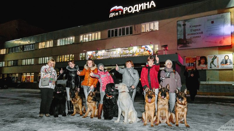 Фото: ньюфаундленд Русская Красавица Нюра