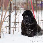 Фотография № 216439