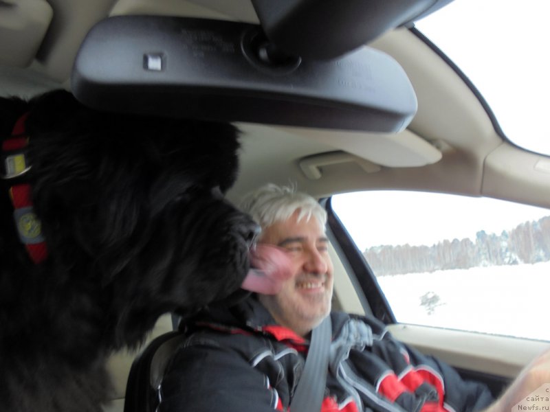 Фотография № 216459