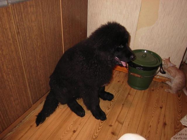 Фото: Екатерина Лукина