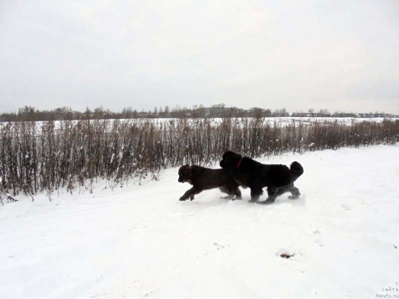 Фотография № 216460