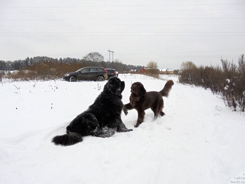 Фотография № 216461