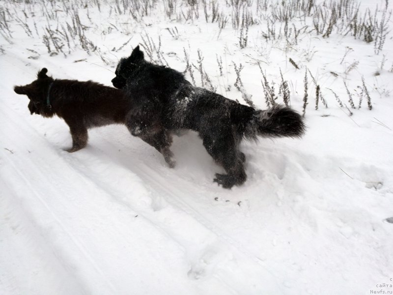 Фотография № 216464