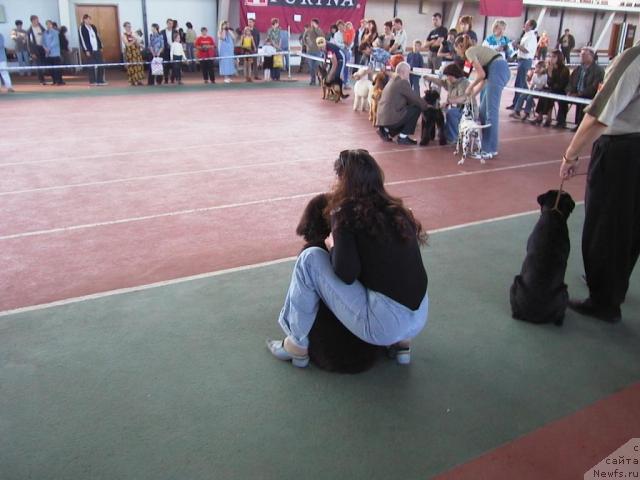 Фото: Екатерина Лукина