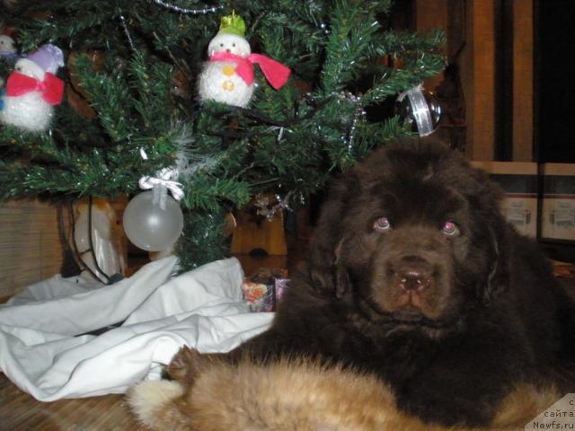 Фотография № 21648