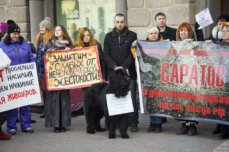 Фотография № 216538