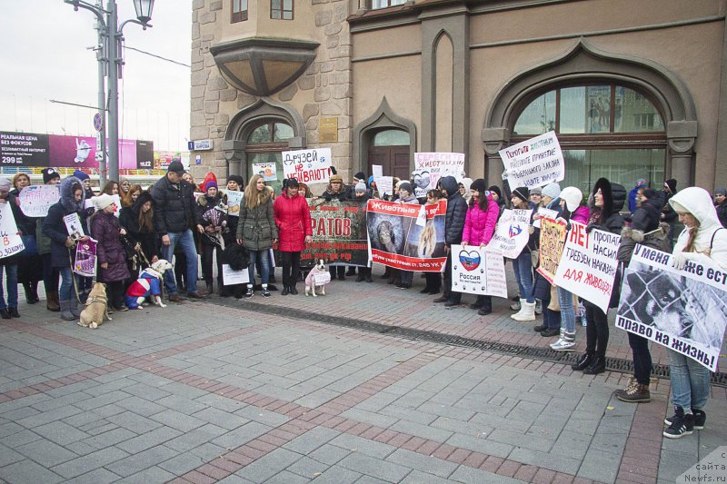 Фотография № 216542