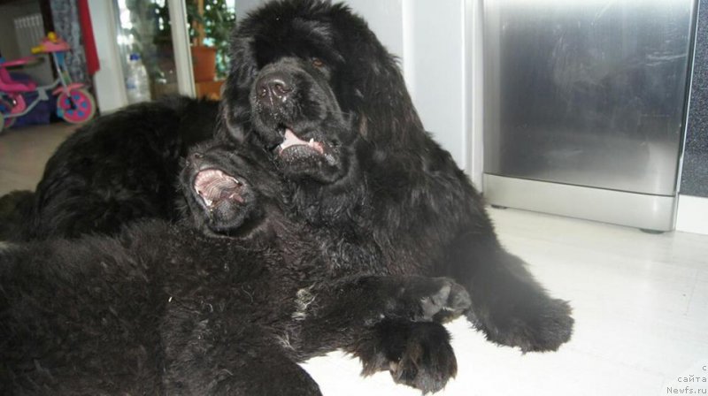 Фотография № 216543