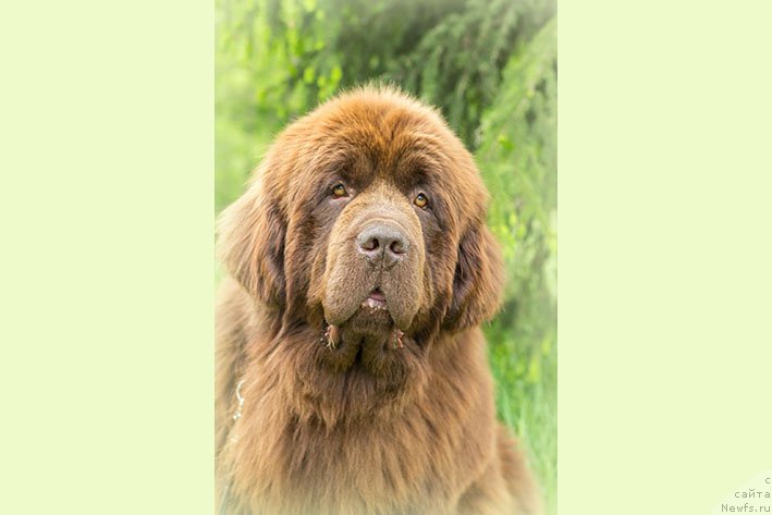 Фотография № 216544