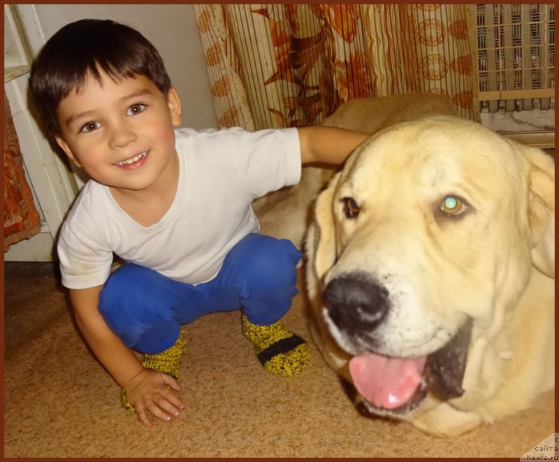 Фотография № 216550