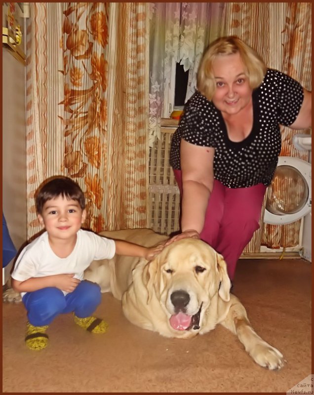 Фотография № 216552