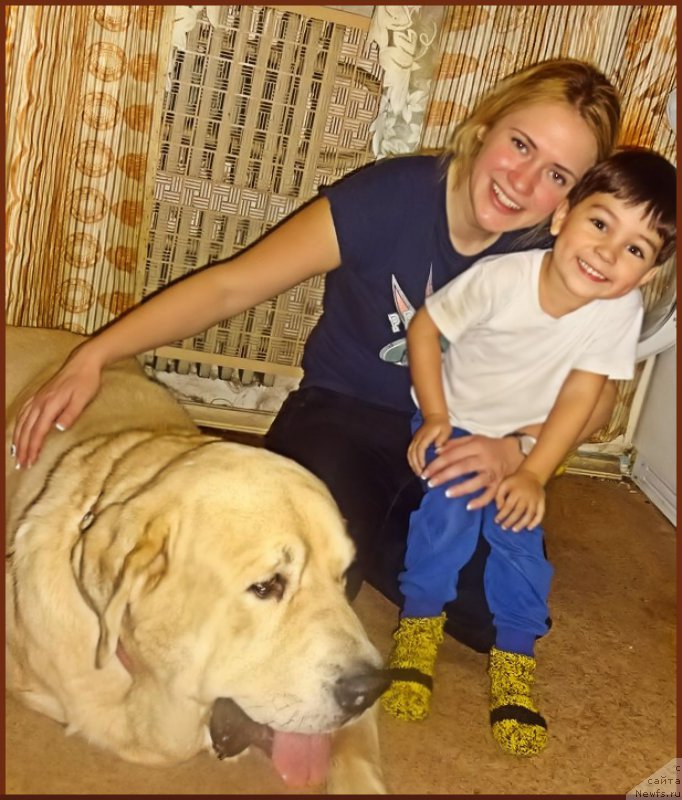 Фотография № 216554