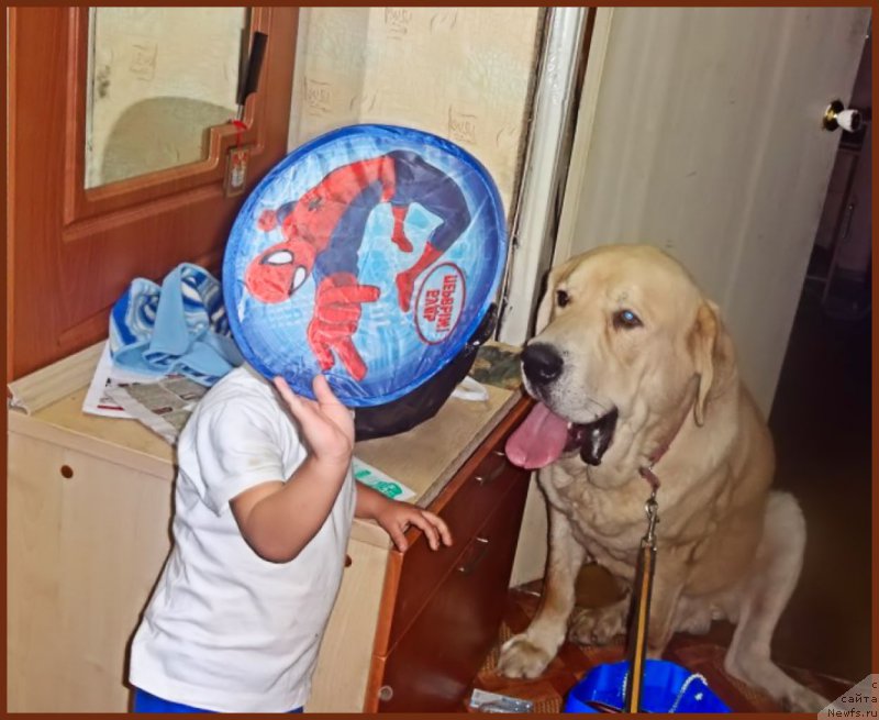 Фотография № 216560