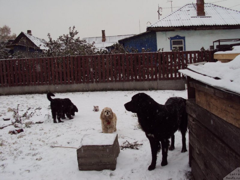 Фотография № 216567