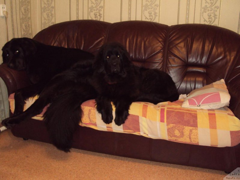 Фотография № 216568