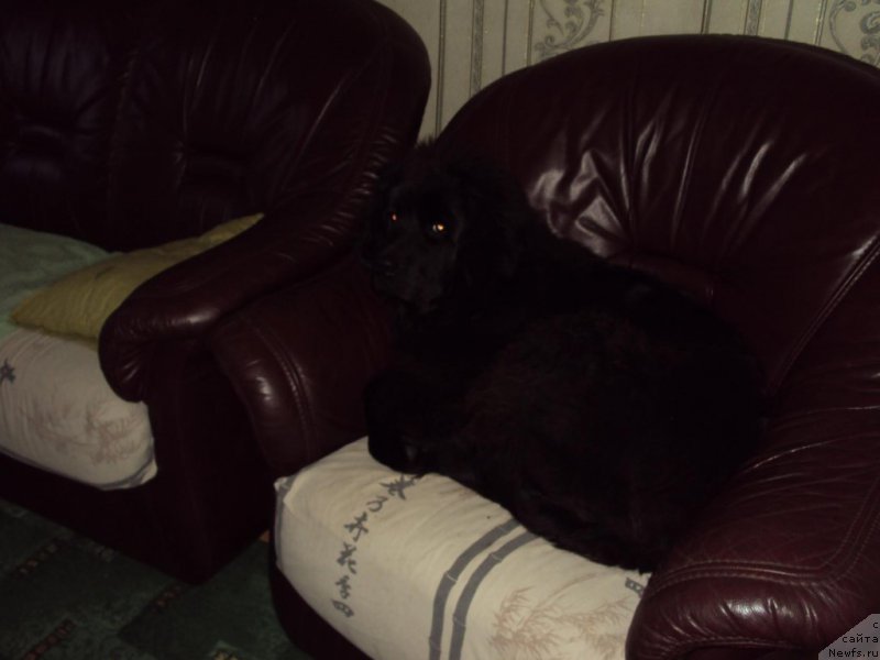 Фотография № 216571