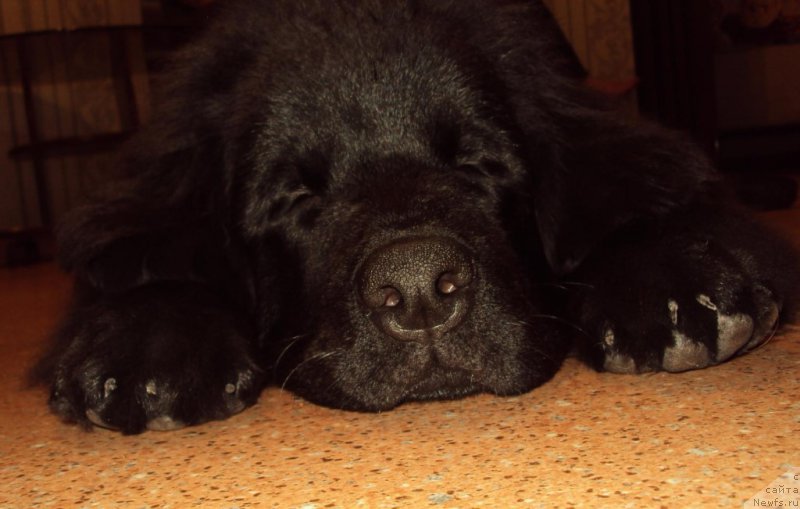 Фотография № 216572