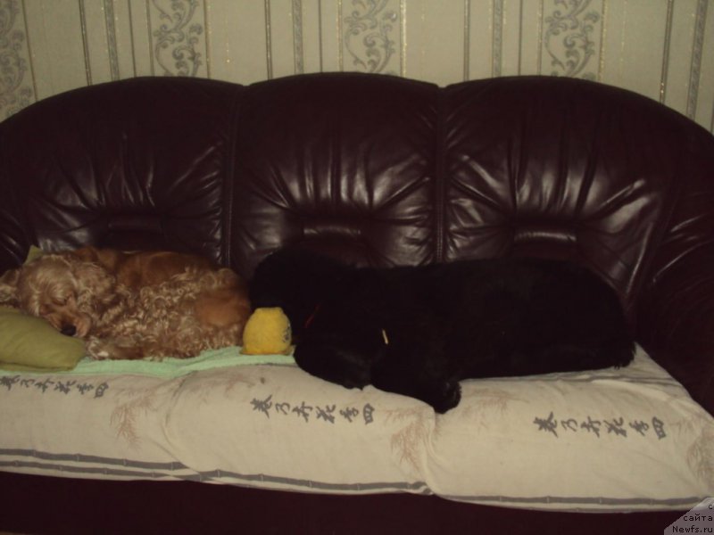 Фотография № 216573