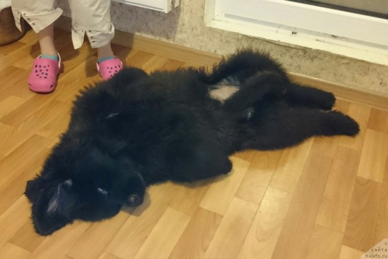 Фотография № 216624