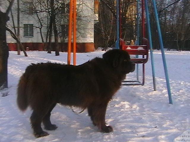 Фото: Ольга Ломтева