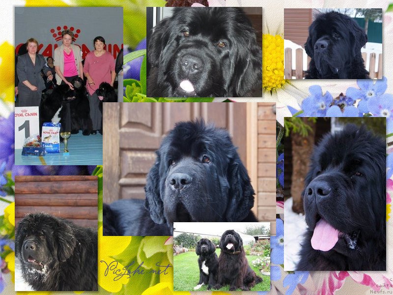 Фотография № 216690