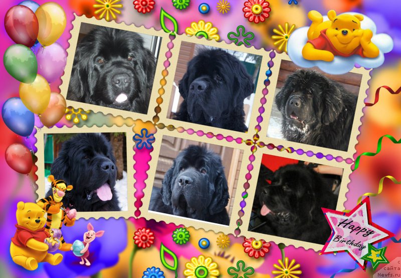 Фотография № 216695