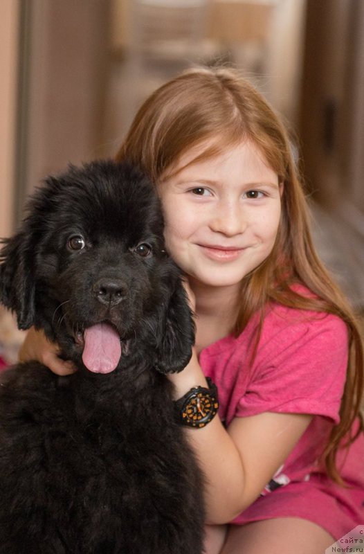 Фотография № 216713