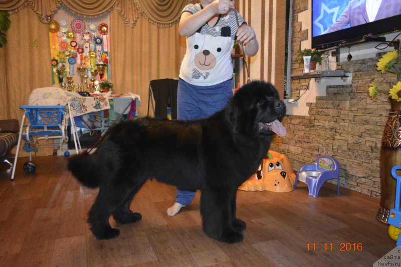 Фотография № 216731