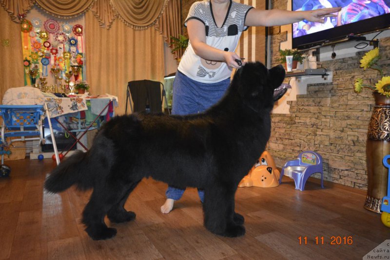 Фотография № 216732