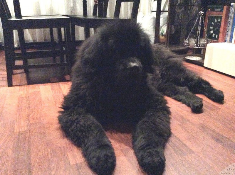 Фотография № 216746