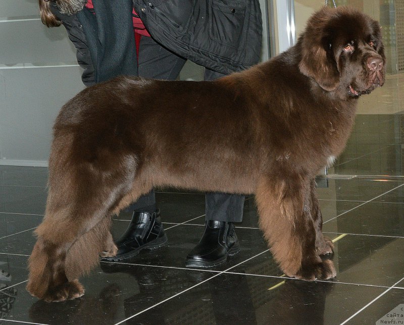 Фотография № 216758