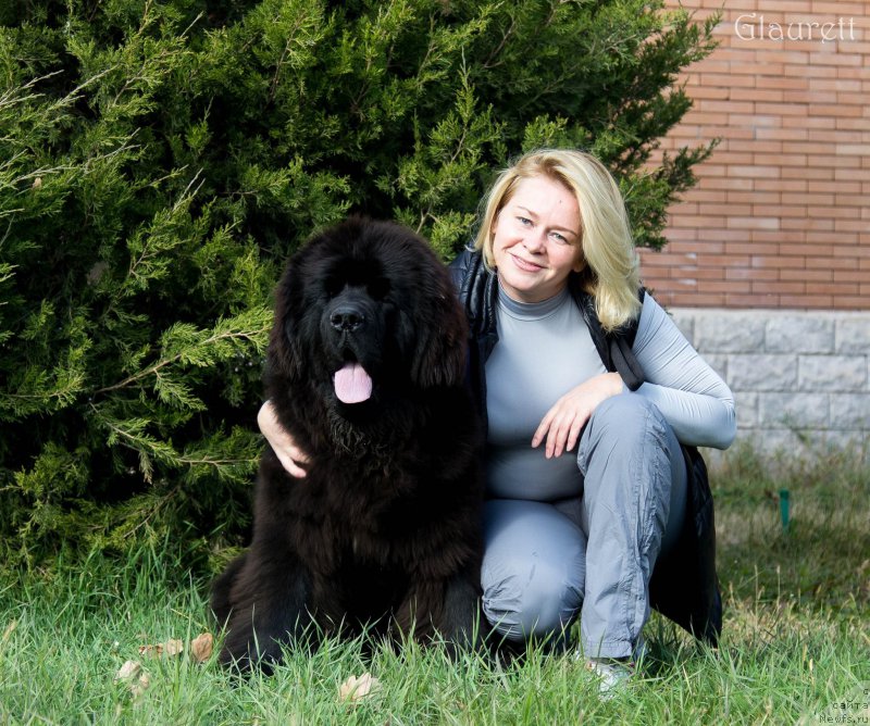 Фотография № 216771