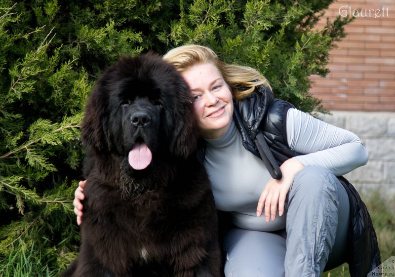 Фотография № 216772