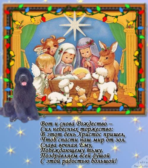 Фотография № 21678