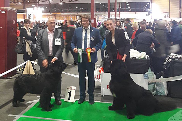 Фотография № 216788