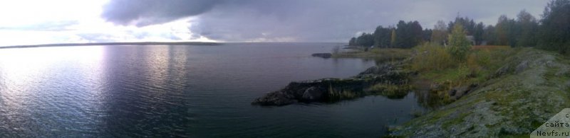 Фото: ньюфаундленд Маг Исполин Морская Жемчужина