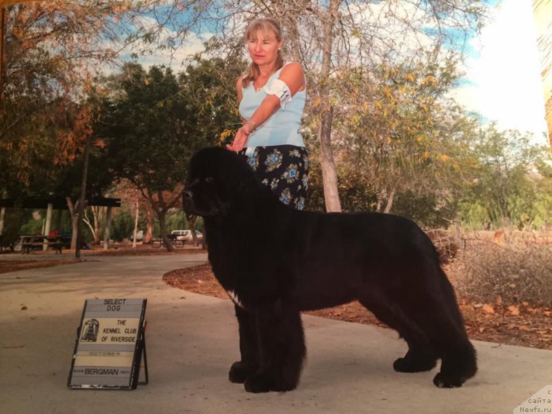 Фотография № 216827