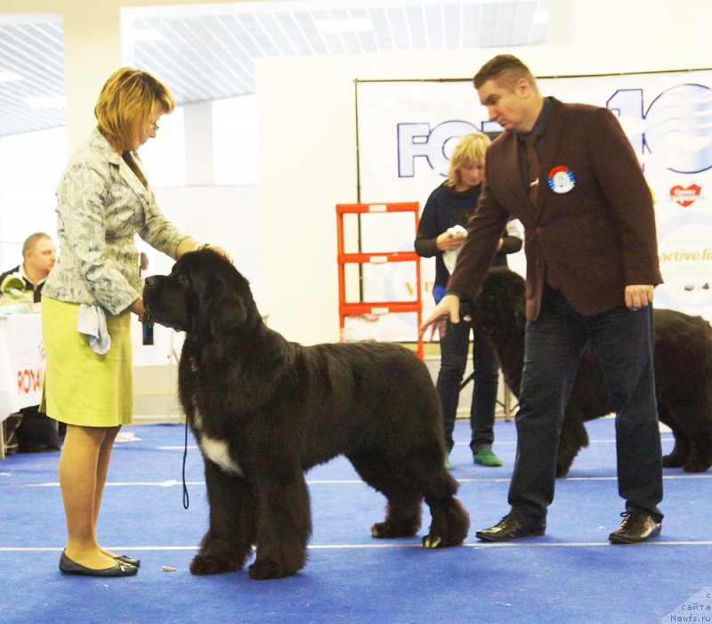 Фотография № 216833