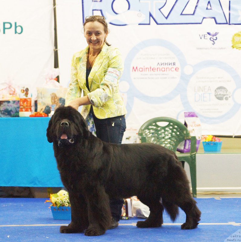 Фотография № 216836