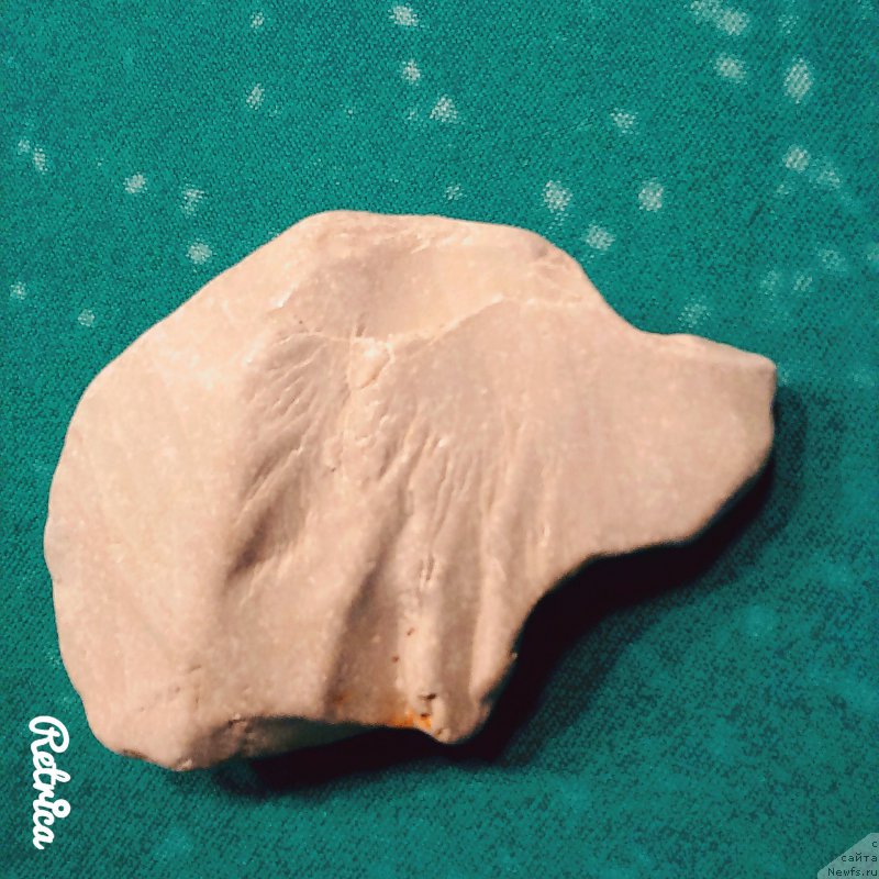 Фото: Алёна Канашенко