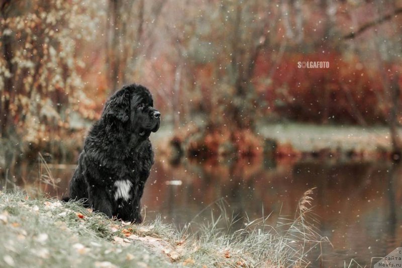 Фотография № 216904