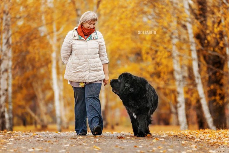 Фотография № 216906