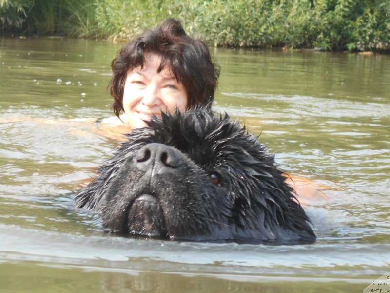 Фотография № 216938